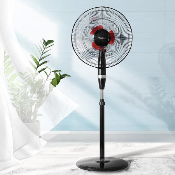 확대된 대표 상품이미지1