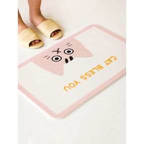고양이 규조토 발매트