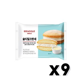 브레디크 솔티밀크붓세 베이커리빵 43g x 9개