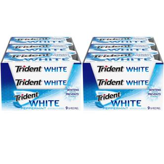  미국직구 Trident 트라이덴트 화이트 페퍼민트 무설탕 껌 16피스 9팩 2박스 White Peppermint