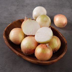 경남 밀양 햇양파 3kg(중/130g-170g)