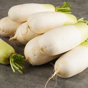 국내산 월동 무 2kg