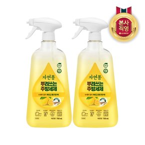 자연퐁 뿌려쓰는 주방세제 레몬향 용기형 750ml X 2개