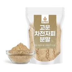 고운 차전자피 분말 500g 차전차피 질경이 껍질 가루 실리엄허스크