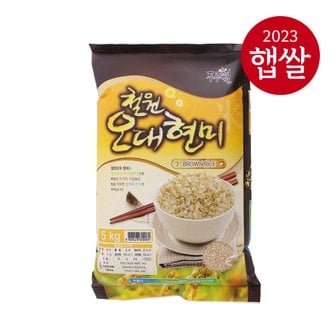 롯데상사 [동송농협] 강원도 철원 오대 현미 5kg/23년산