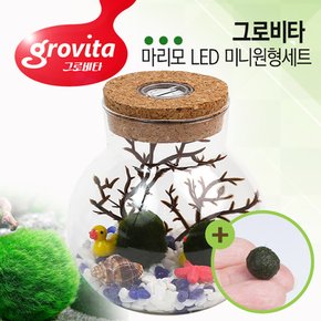 그로비타 마리모키우기 LED 미니원형 유리어항세트