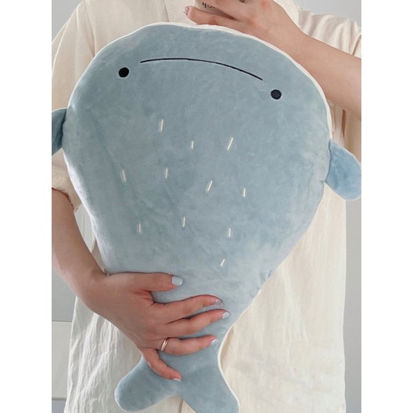 확대된 대표 Main Image