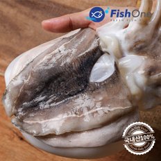 국내산 손질갑오징어(소) 3kg(16-18마리)급냉