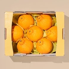  중문 한라봉 1.8kg (5-8입)