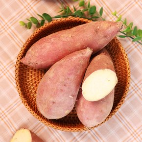 [오늘신선] 해남 산지직송 베니하루카 밤고구마 비세척 특상 2kg