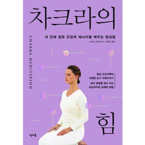 차크라의 힘