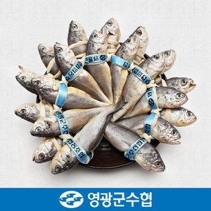 영광군수협 [냉동][영광군수협]법성포 영광 굴비 세트 2.1kg(역걸이/20미)
