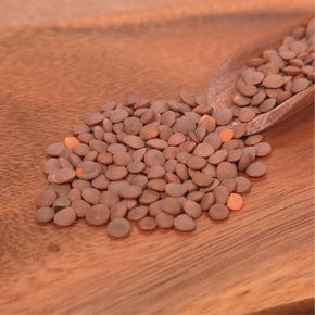 [2025년산] 캐나다산 렌틸콩 1kg