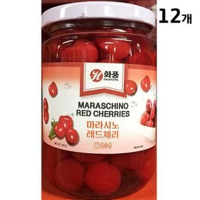 화풍 적체리 무꼭지 380g X12