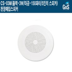 CS-03M 카페 병원 공사현장 지앤에스 천장매입스피커