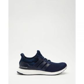 4811915 Adidas Ultraboost 1.0 - Mens Shanav, Shanav  Gretwo