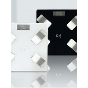 벨레스 스마트 바디 체중계 BLSC-605WH