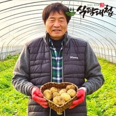 식탐대첩 국내산 포슬포슬 맛좋은 감자 3kg 대