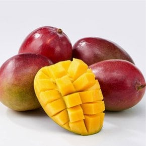 브라질산 애플망고 2kg(4~5입)
