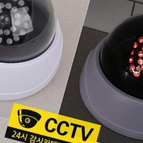 가짜카메라 모형CCTV 돔형 가짜 CCTV 모조카메라 LED 불빛 도난방지 카