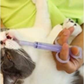고양이 강아지 약먹이기 이유식 새끼 반려동물 물약 알약 주입기 주사기