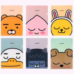 L홀더 1개입 라이언 어피치 무지 튜브 네오 프로도