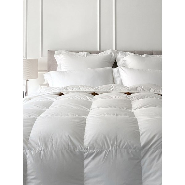 확대된 대표 Main Image