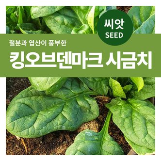 마이플랜트 킹오브 덴마크 시금치 씨앗 1300립