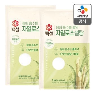 CJ제일제당 [본사배송] 백설 하얀자일로스설탕5KG x 2