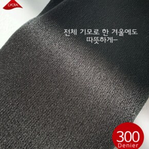 착압스타킹 300데니아 AZ862