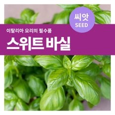 스위트 바질 허브 씨앗 3g