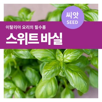 마이플랜트 스위트 바질 허브 씨앗 3g