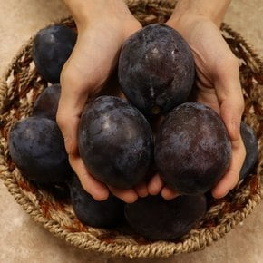 안동 생 푸룬 자두 선물용2kg