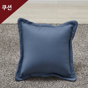 에넥스 도노 가죽쿠션 2개