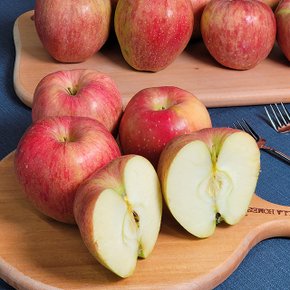 경상북도 고당도 홍로사과 2kg 꼬마
