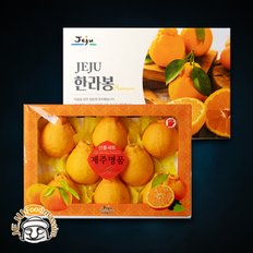 [바로배송] 현가원 서귀포 한라봉 5kg (11-16과, 실중량)