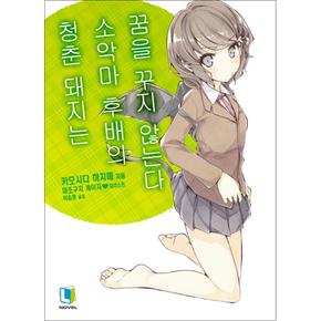 청춘돼지는소악마후배의꿈을꾸지않는다라노벨소설책