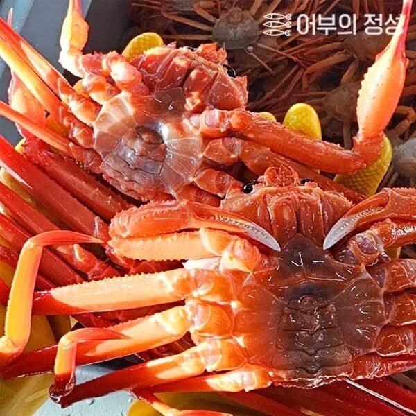 [어부의정성] 품질보장 수율좋은 박달홍게 3kg (6-7미)(자숙)