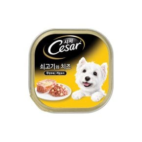시저 쇠고기와 치즈 100gX24개/애견간식/애견캔