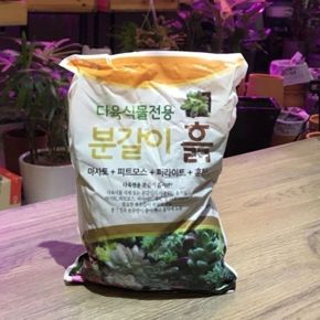 한성 선인장/다육이 전용 분갈이 흙 2.8L 1.5Kg X ( 4매입 )