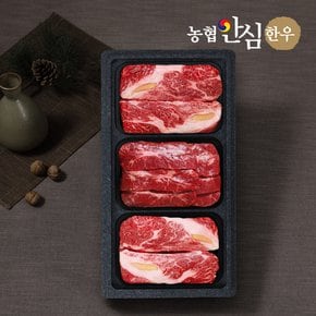 [바로배송][냉장][농협안심한우] 등심 500g x 2팩+채끝 500g x 1팩 /총1.5kg