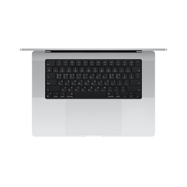 맥북프로 16 M4 Max (CPU 14코어/GPU 32코어) 36GB 1TB 실버 MX2V3KH/A