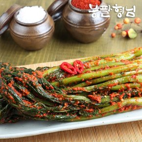 전라도 파김치 1kg 국산 수제김치