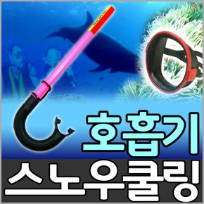 호흡기/스노우쿨링/여름용품/물놀이용품/바캉스/잠수