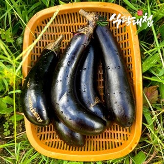 식탐대첩 국내산 못난이 축양가지 2kg