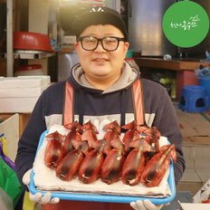 최고다농수산 속초 오징어순대/ 고기 오징어순대 2미(600g) + 명태회무침 세트