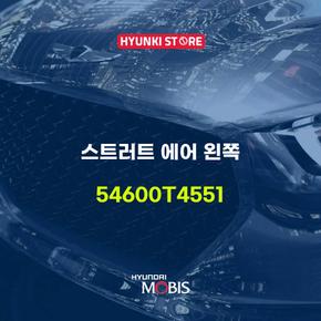 스트러트 에어 왼쪽 (54600T4551)