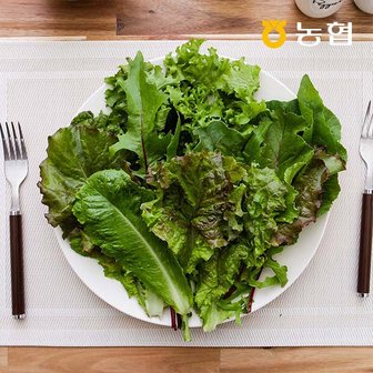 자연맛남 GAP인증 농협선별 모듬 쌈채소 1kg