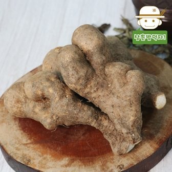  안동산지에서 바로보내드리는 튼실한 산마(못난이) 1kg