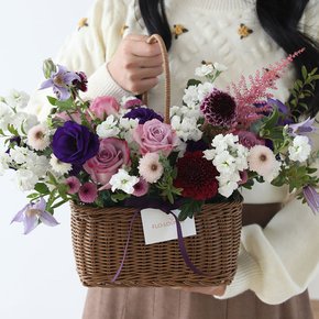 보라톤 사각 생화 꽃바구니